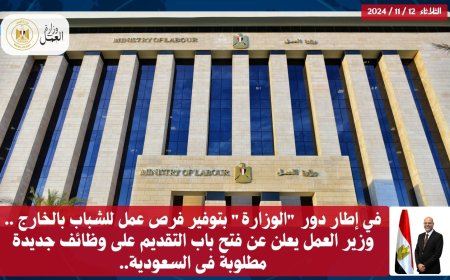 في طار دور "الوزارة" بتوفير فرص عمل لشباب بالخارج
