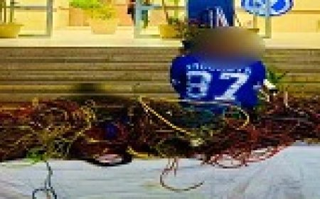 نتائج جهود الأجهزة الأمنية القاهرة لمكافحة رائم السرقات