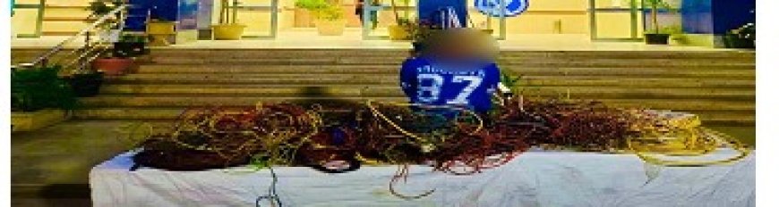 نتائج جهود الأجهزة الأمنية القاهرة لمكافحة رائم السرقات