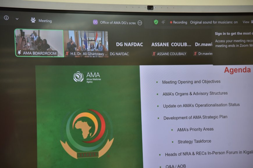 هيئة الدواء المصرية تشارك في الاجتماع الافتراضي لمدير عام وكالة الأدوية الإفريقية لتعزيز التكامل التنظيمي بالقارة