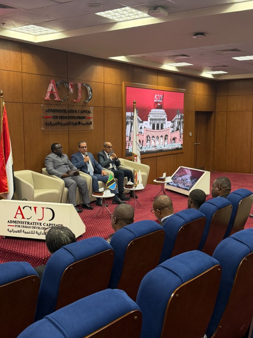 من العاصمة الجديدة إلى دودوما.. مصر تنقل خبراتها إلى تنزانيا