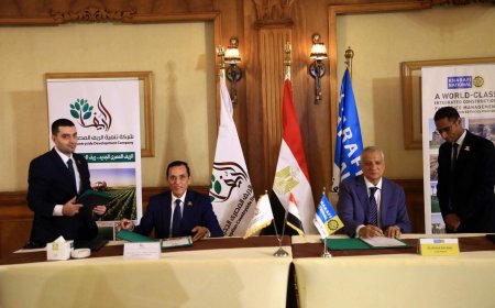 من الكهرباء إلى الزراعة والإنتاج.. «الخرافي ناشيونال» تدعم مشروع المليون ونصف المليون فدان بمنظومة كهربائية متطورة